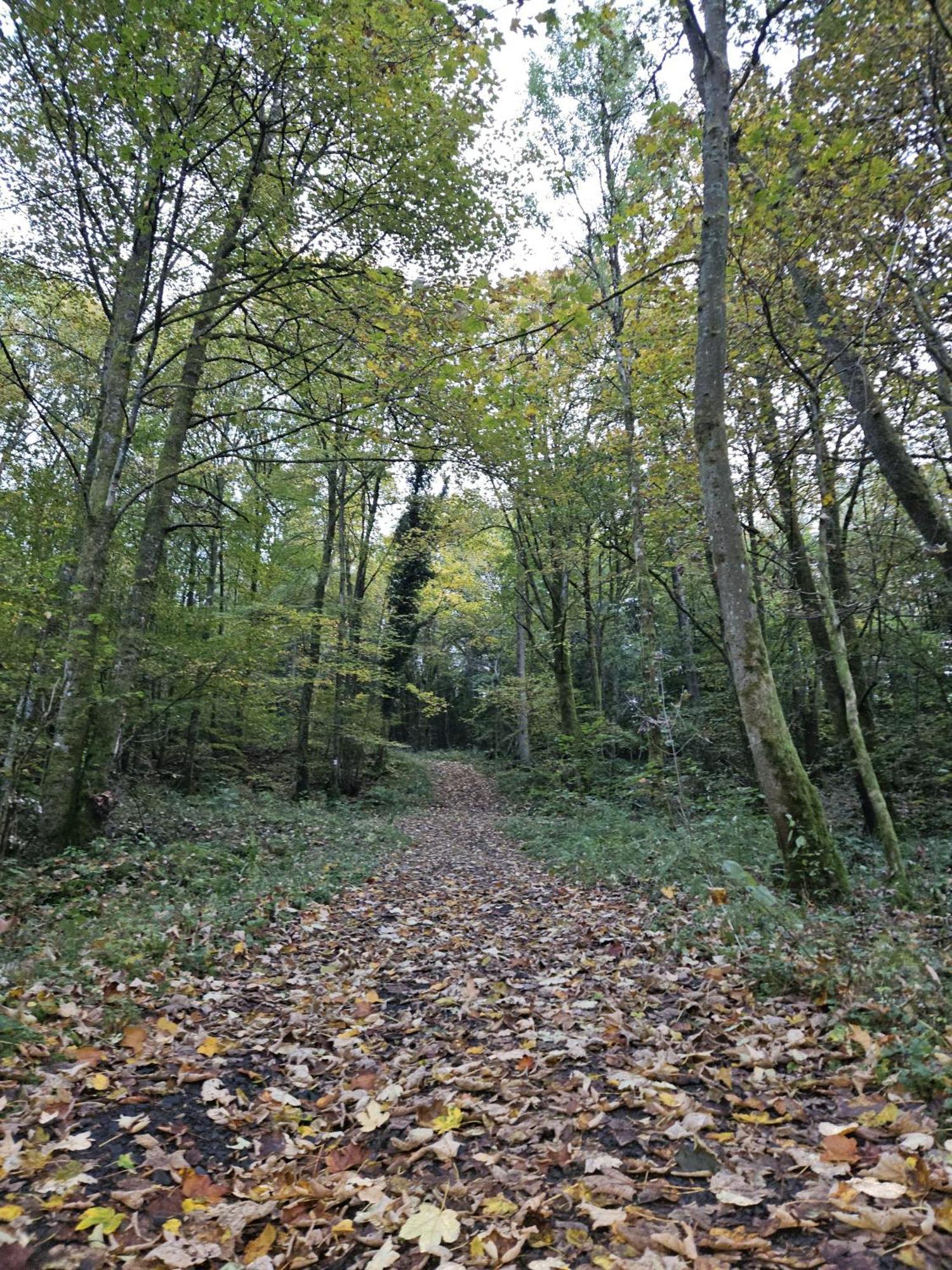 Gemuetliche Ferienwohnung Im Westerwald - "Ferienwohnung Grau" Weitefeld Buitenkant foto